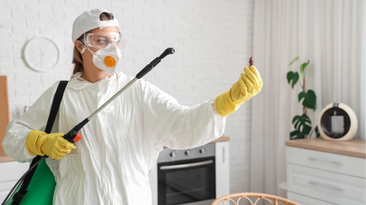 Pest Control Biz Utah