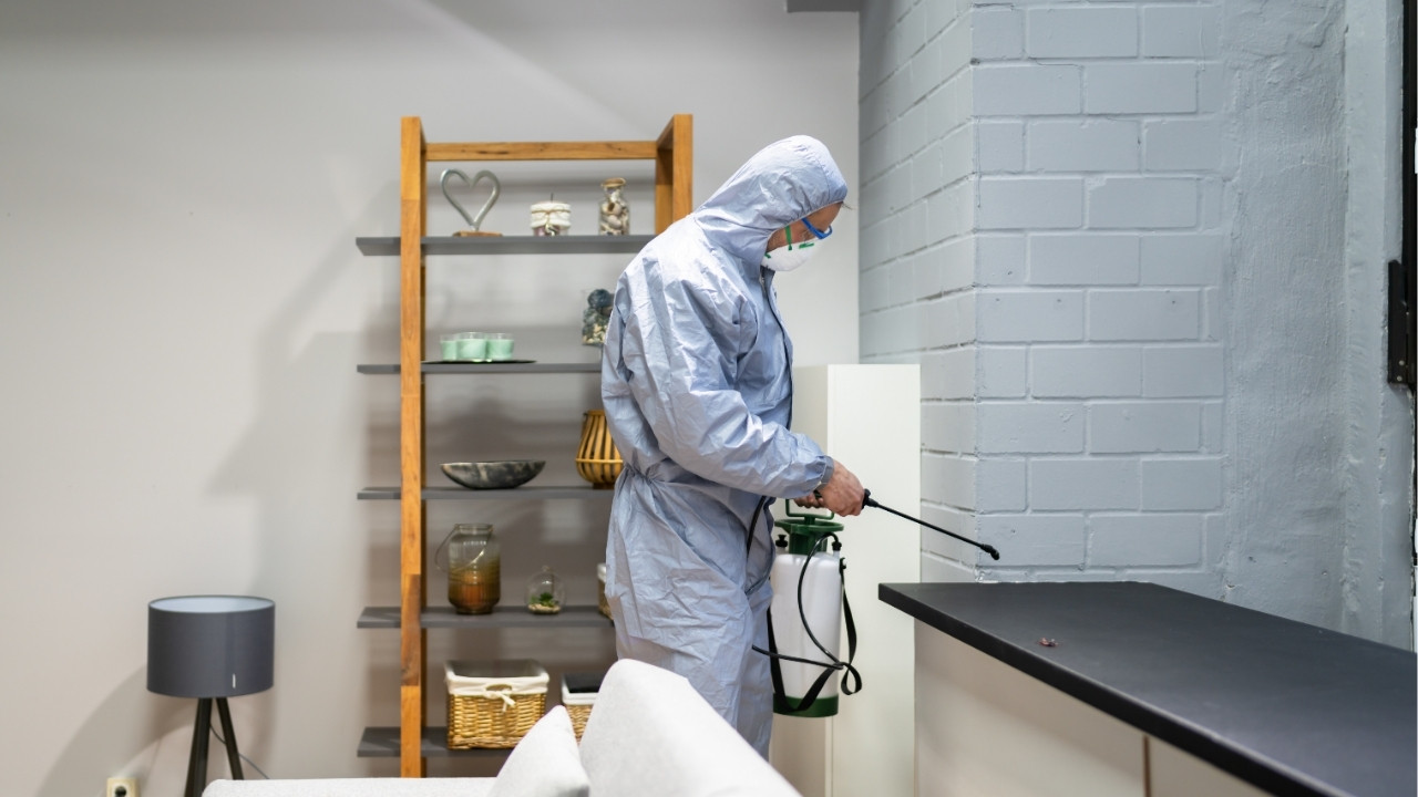 Pest Control Biz Ohio