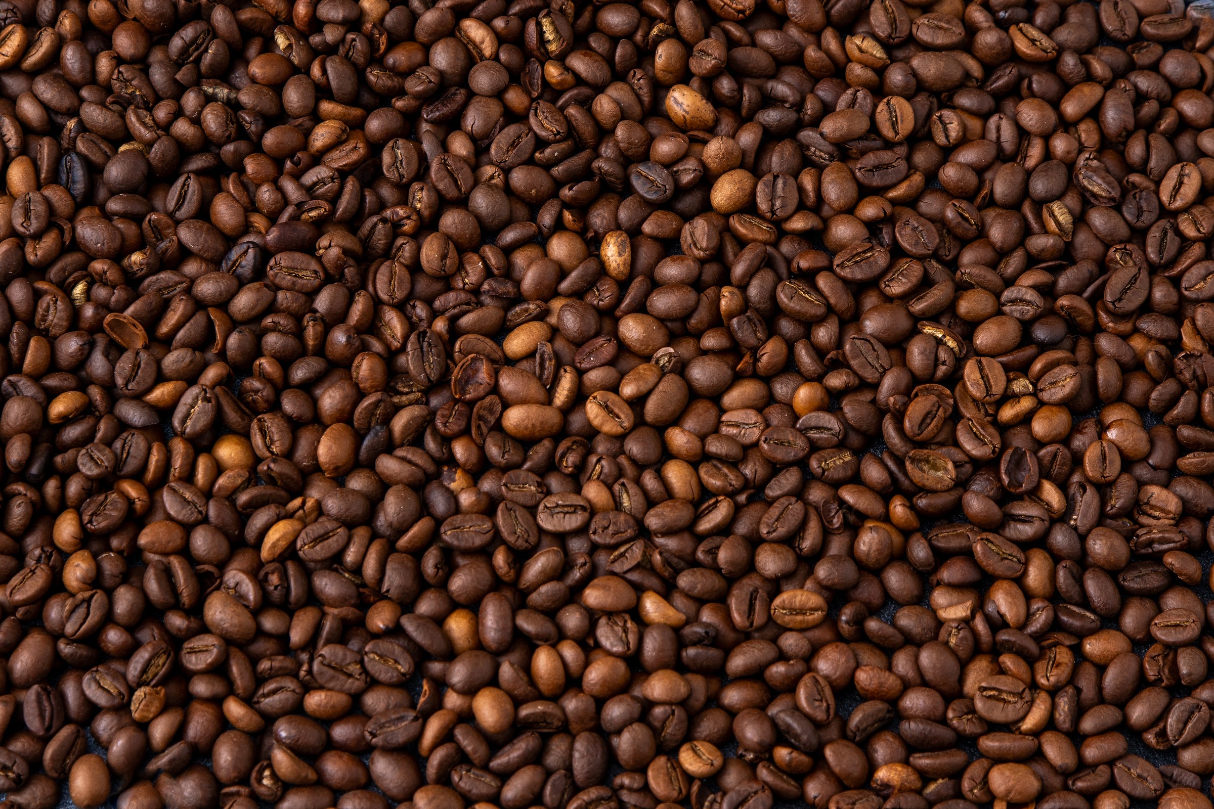 Orlando Coffee Shops