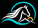 Málaga Horse Guide