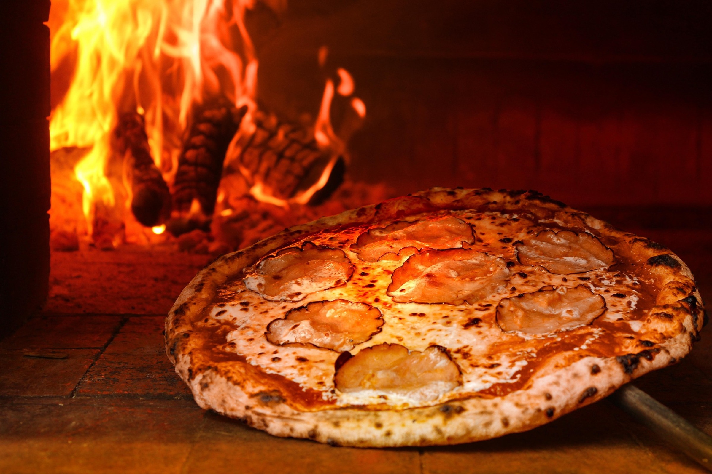 Surrey Pizza Guide
