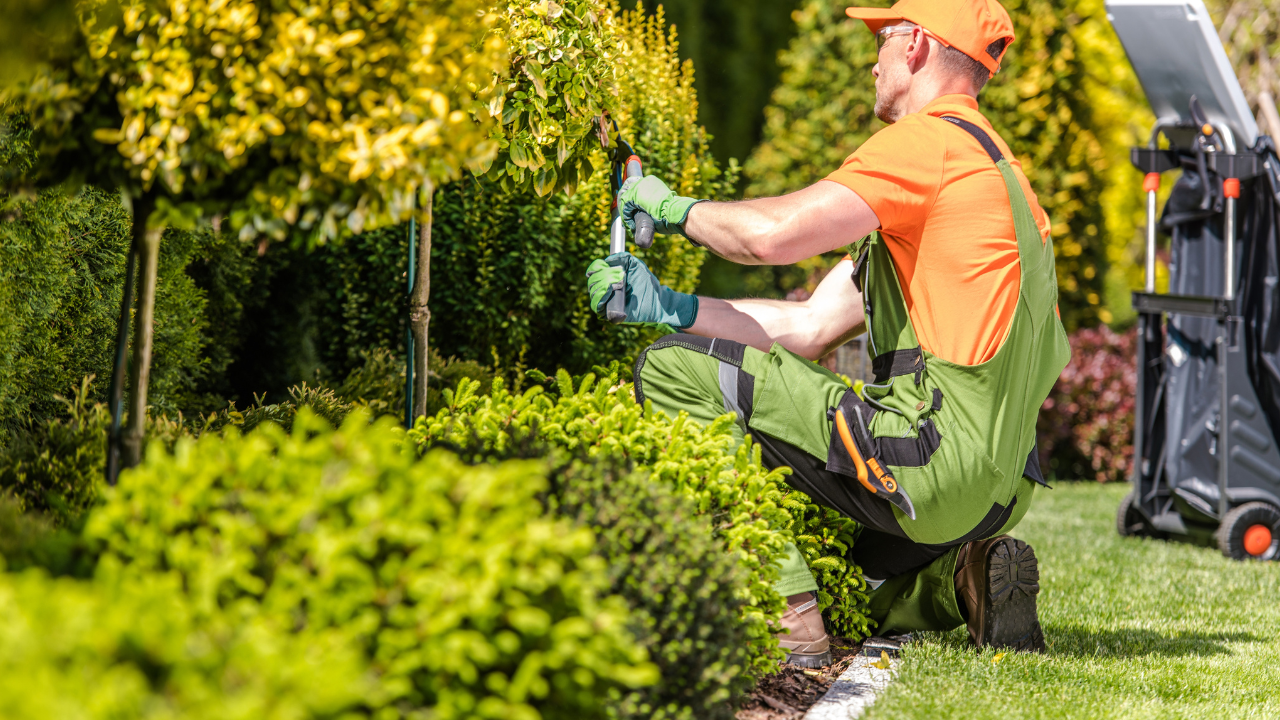 Simple Scheduling Solutions for Landscaping Businesses: From Google Calendar to Powerful Paid Tool