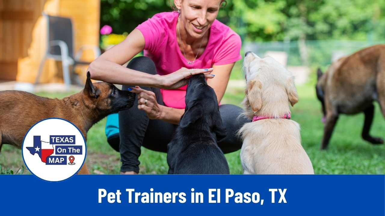 Pet Trainers in El Paso