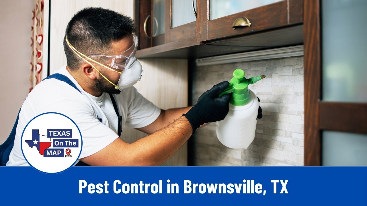 Pest Control in Brownsville