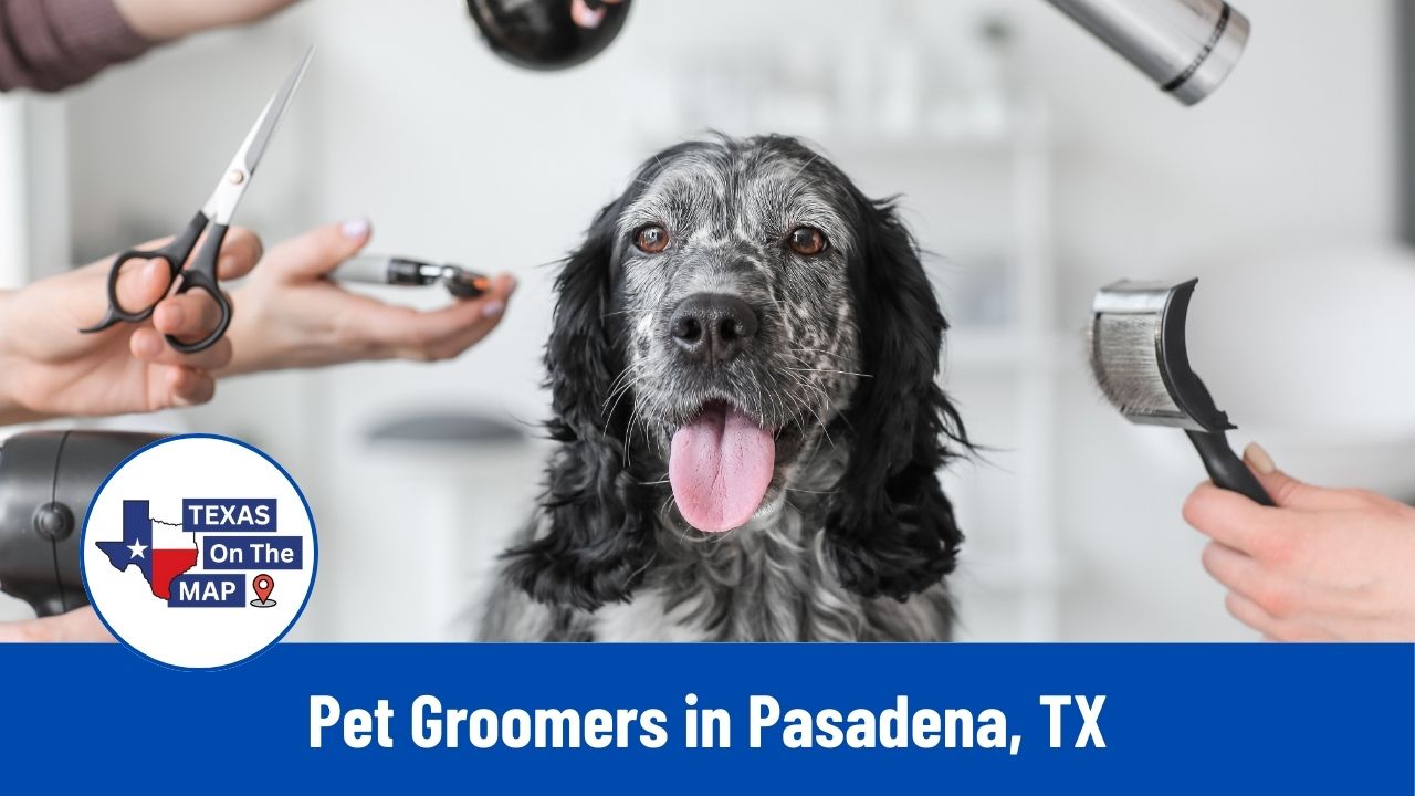 10 Best Pet Groomers in Pasadena 2025 for Happy, Stylish Pets