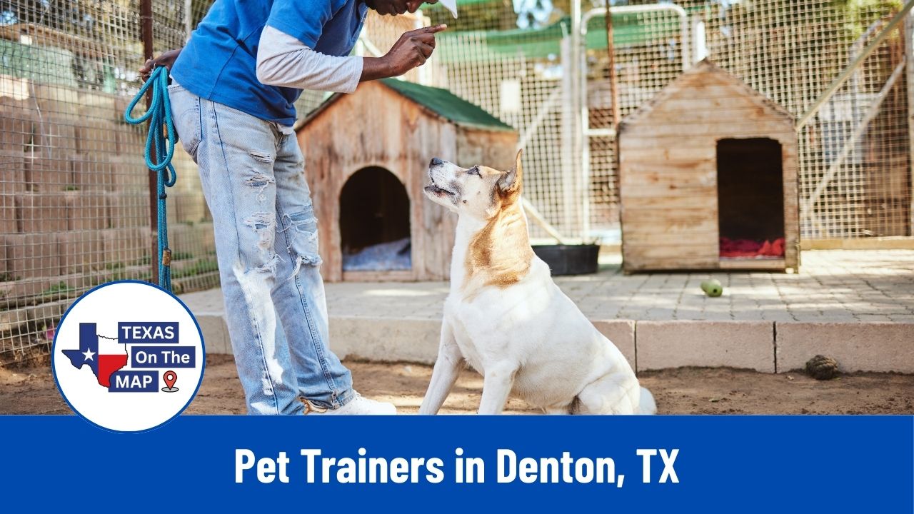 Pet Trainers in Denton