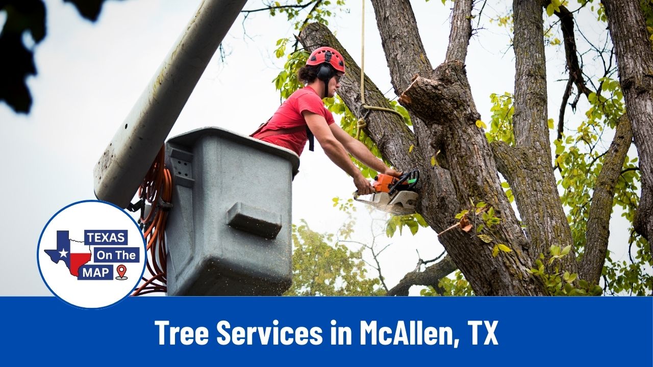 Tree Services in McAllen