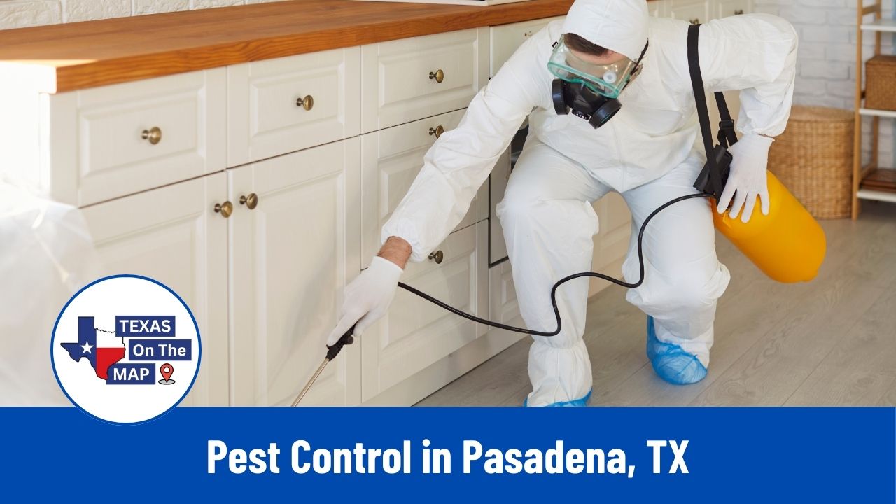 Pest Control in Pasadena