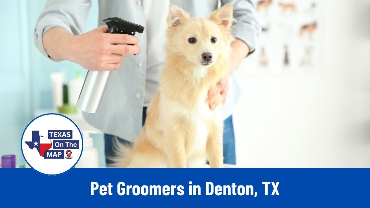 Pet Groomers in Denton