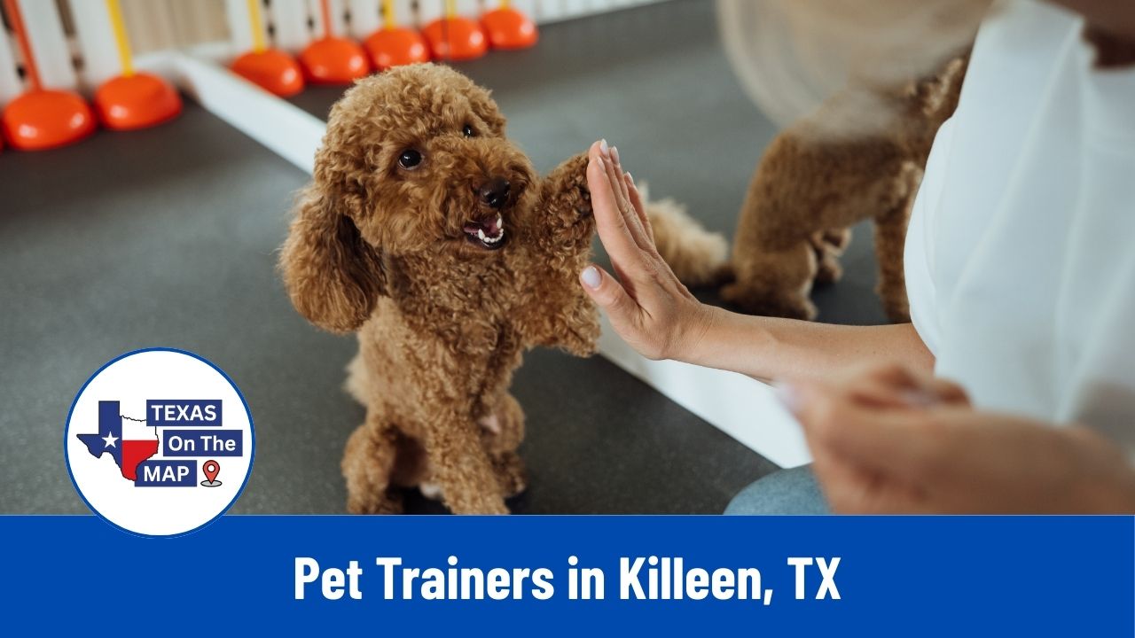 Pet Trainers in Killeen