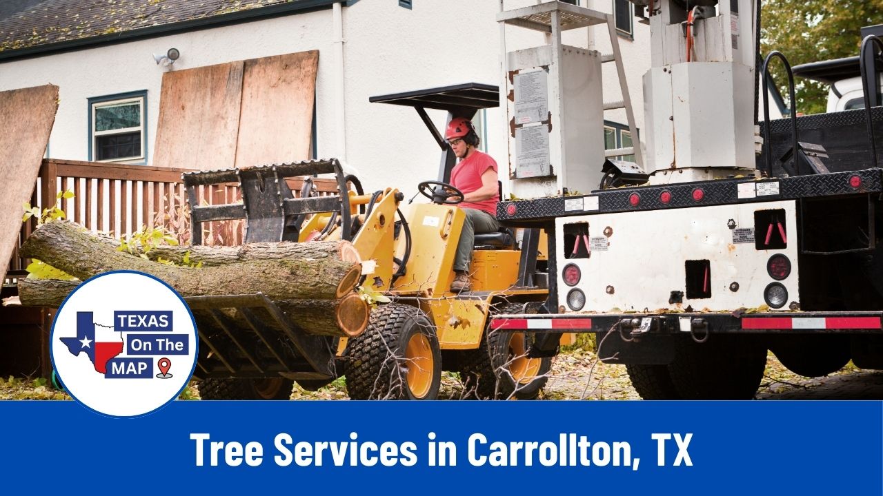 Tree Services in Carrollton