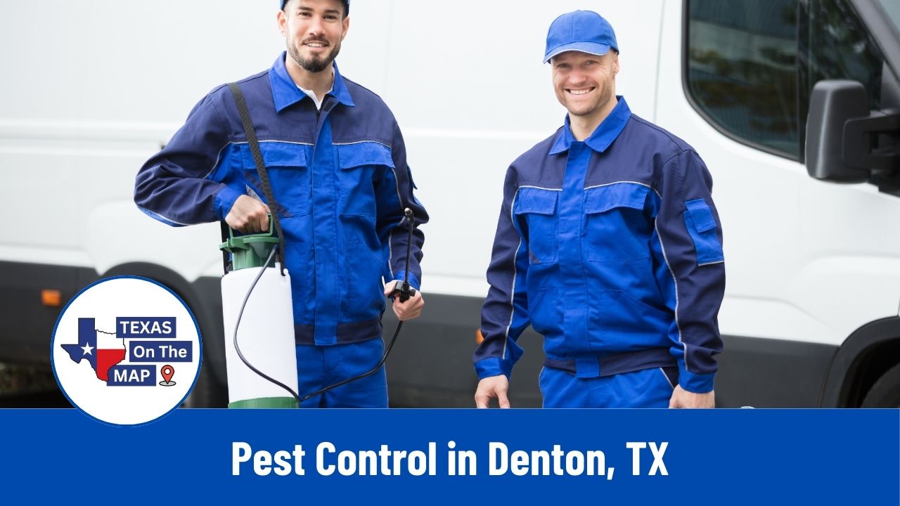 Pest Control in Denton