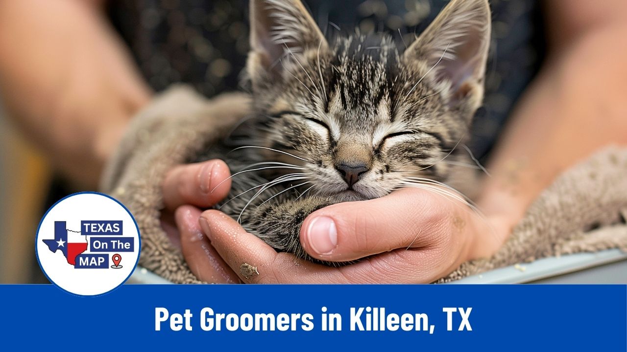 Pet Groomers in Killeen