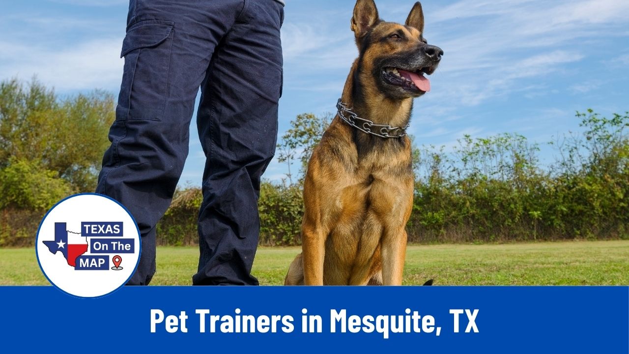 Pet Trainers in Mesquite