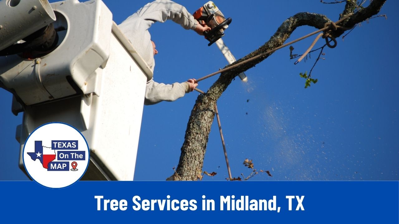 Tree Services in Midland