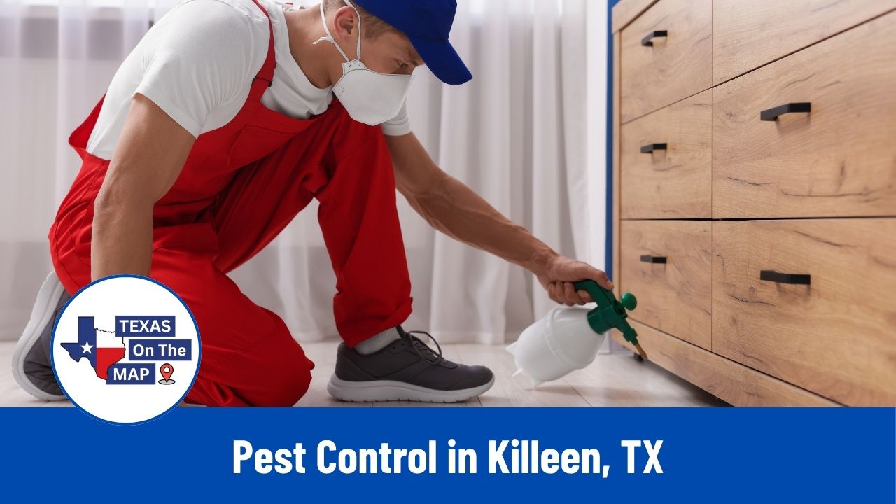 Pest Control in Killeen