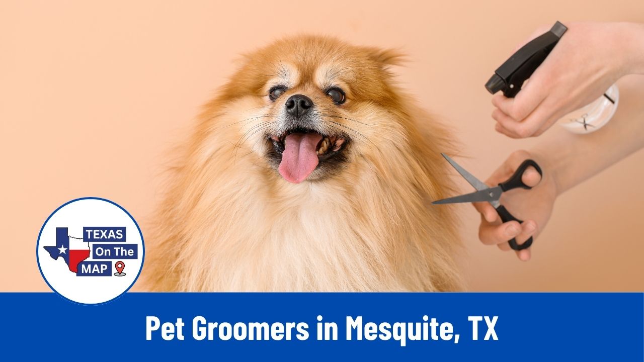 Pet Groomers in Mesquite