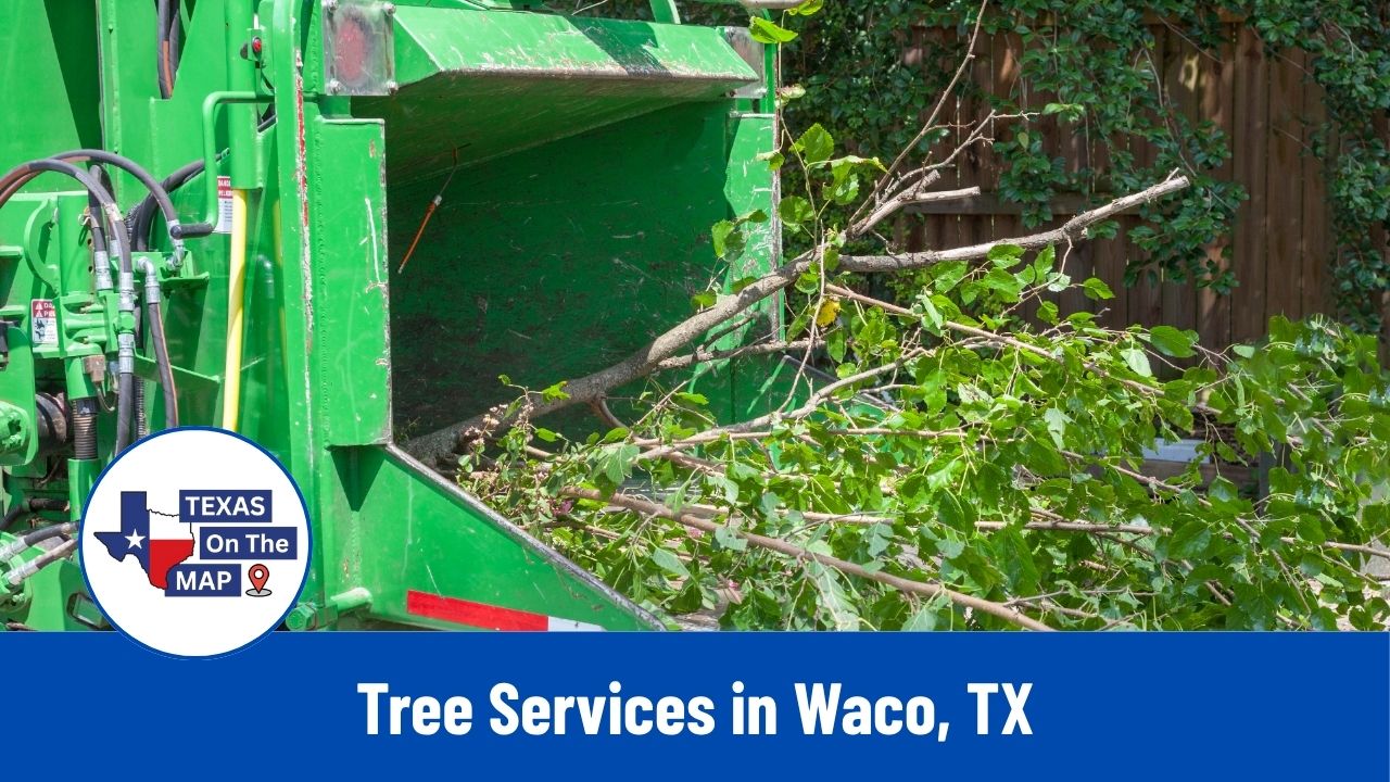 Tree Services in Waco