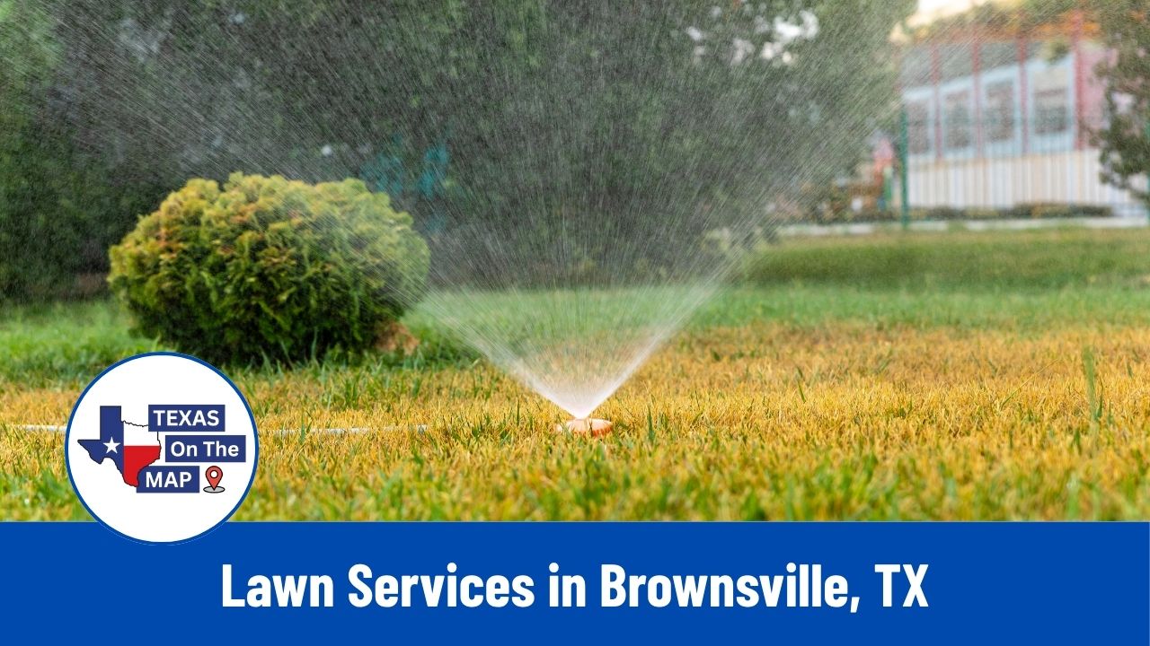 Lawn Services in Brownsville