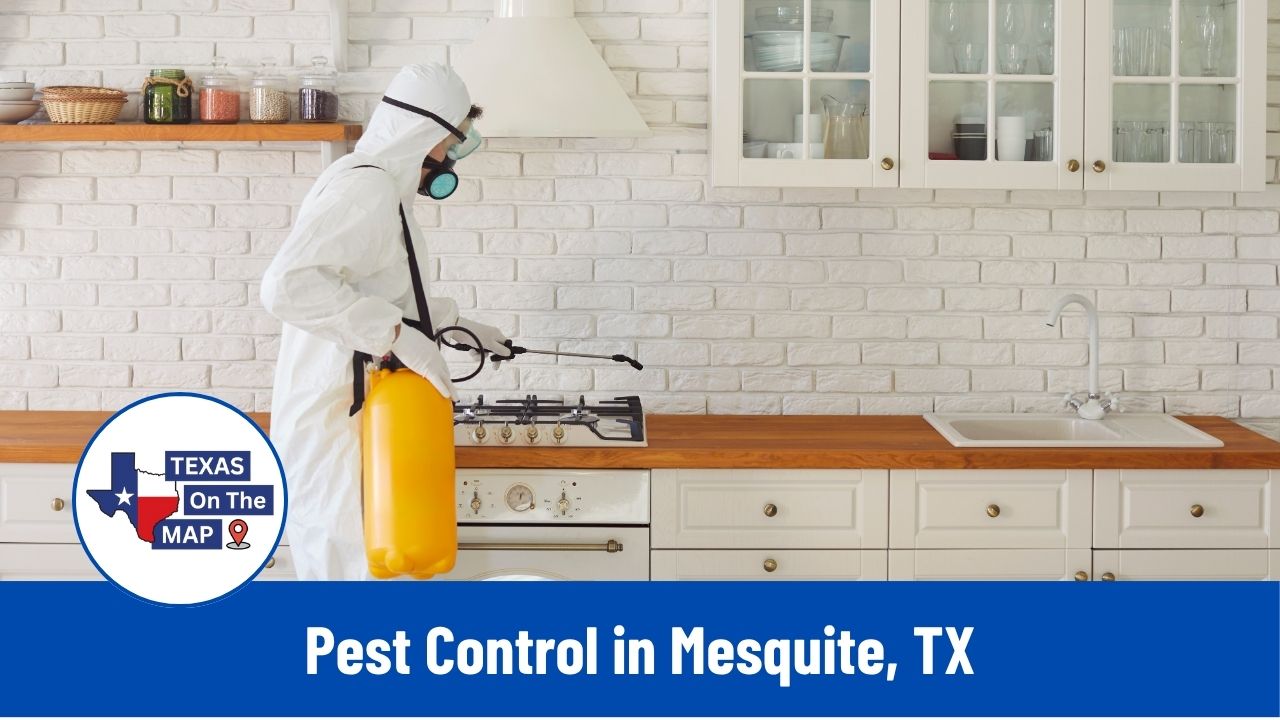 Pest Control in Mesquite