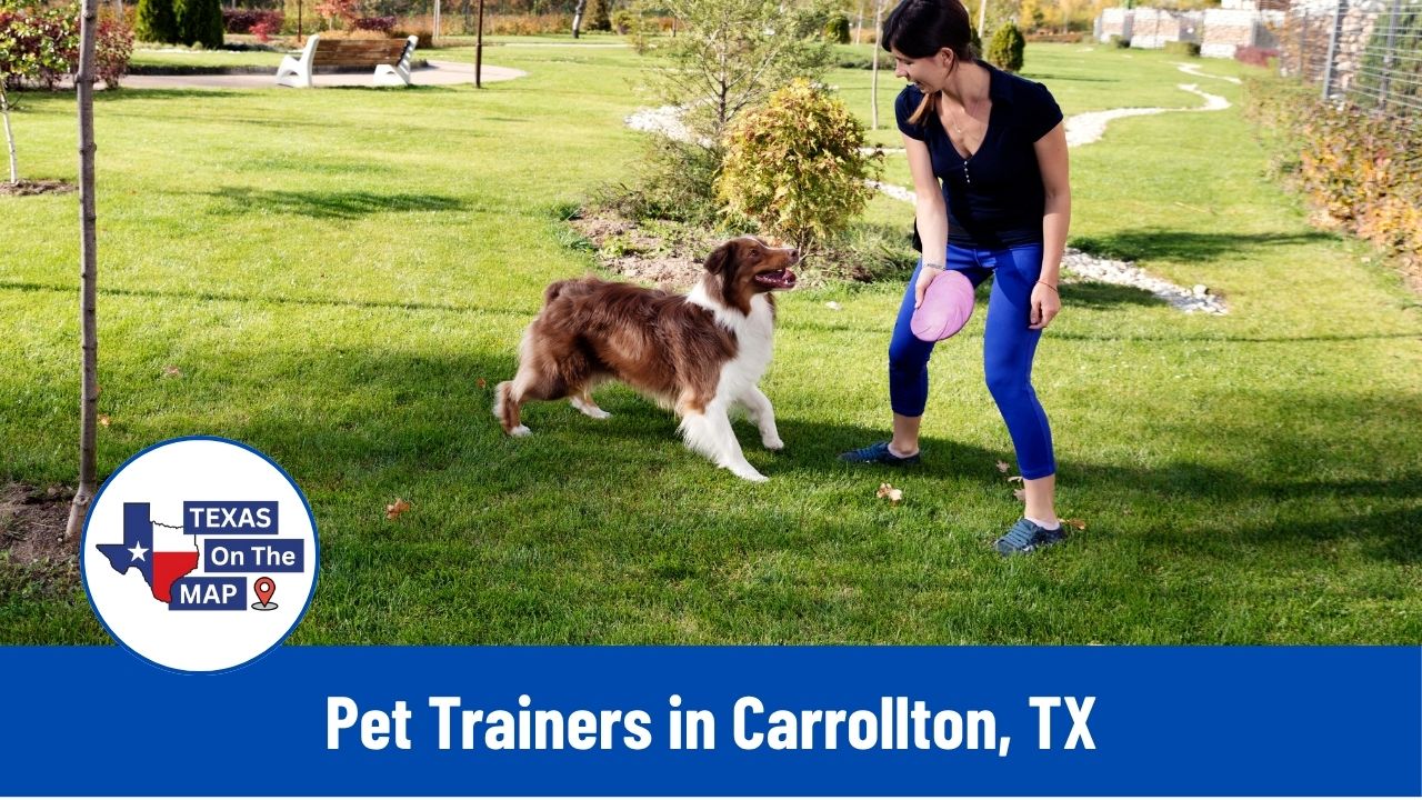 Pet Trainers in Carrollton