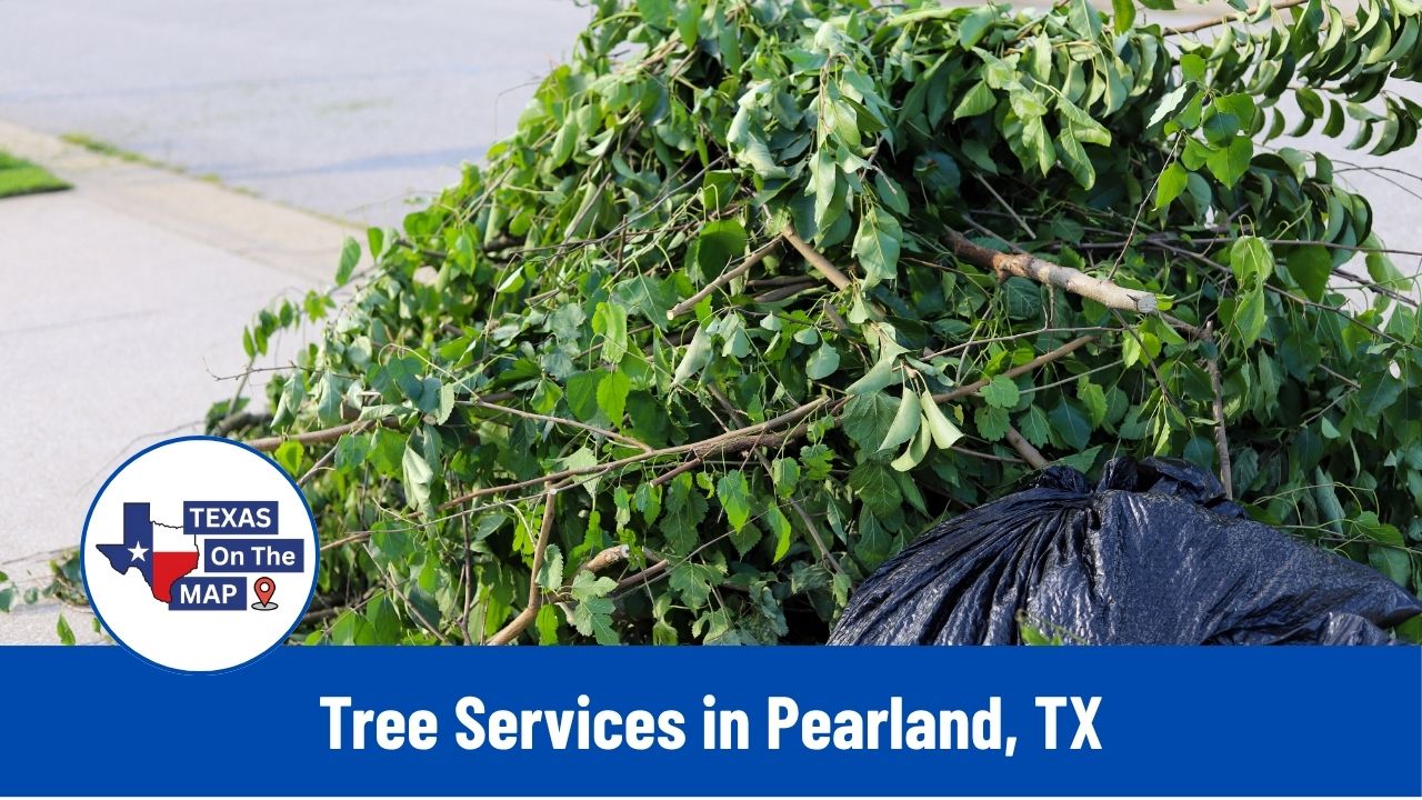 Tree Services in Pearland