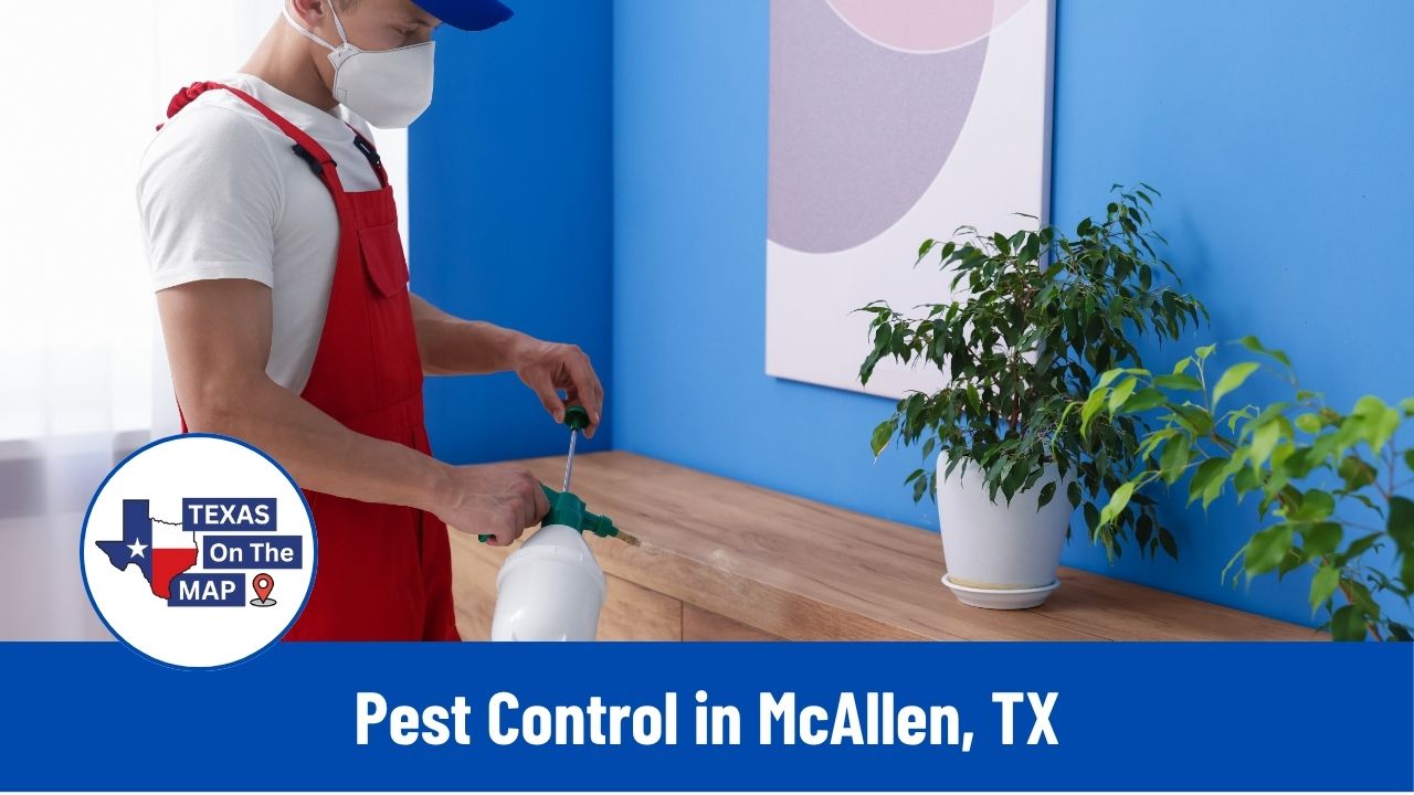 Pest Control in McAllen