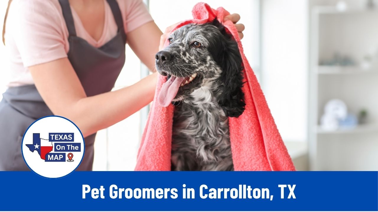 Pet Groomers in Carrollton