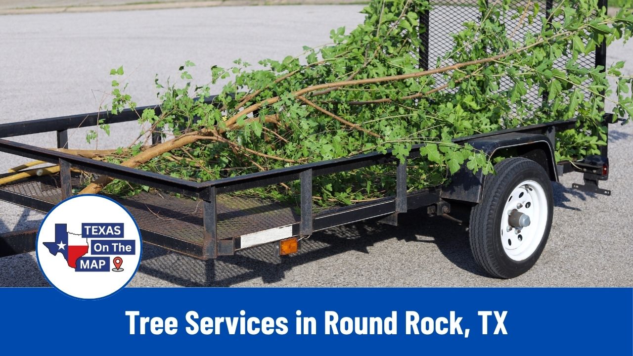 Tree Services in Round Rock