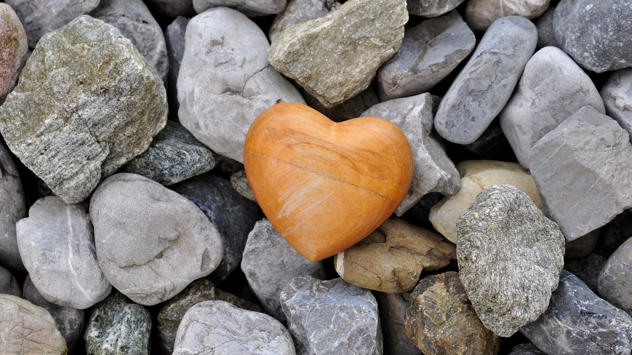 Why Heart Rate Variability Matters — and Why You Should Care