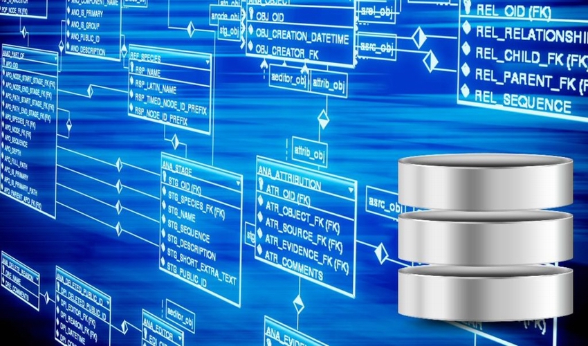 PHÁT TRIỂN HỆ THỐNG CƠ SỞ DỮ LIỆU