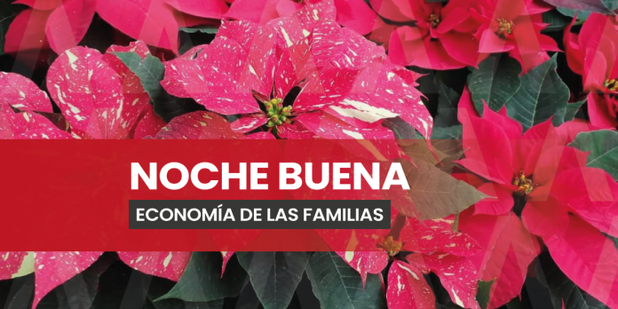 La venta de flores navideñas respalda los ingresos de los hogares Chiapanecos