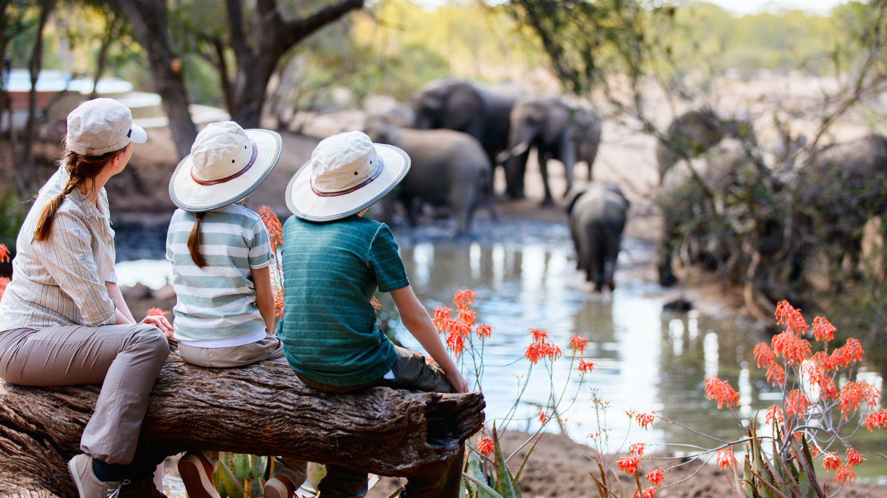 Family Safaris in KZN — What Parents Should Know Before Booking