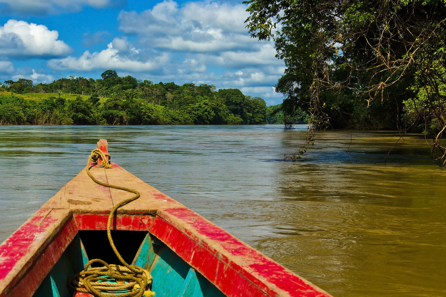Selva Lacandona, Chiapas, ubicación, flora y fauna