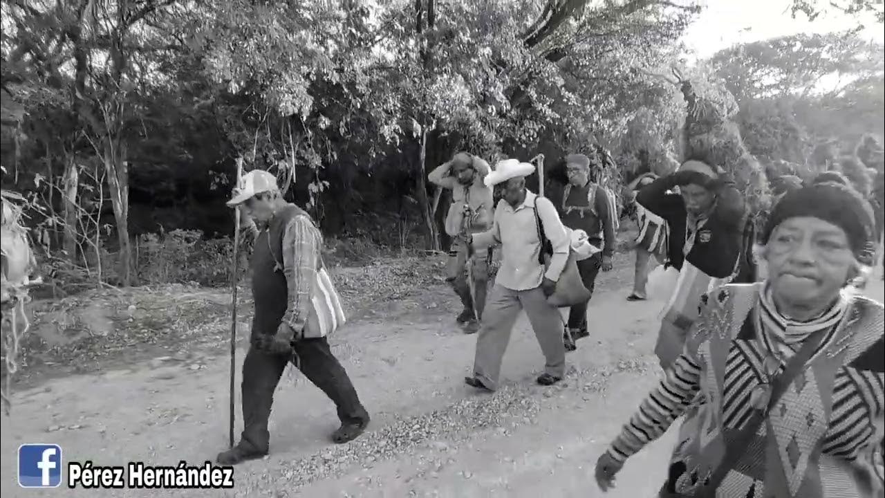 Partieron floreros de Chiapa de Corzo en busca de ‘niluyarilo’