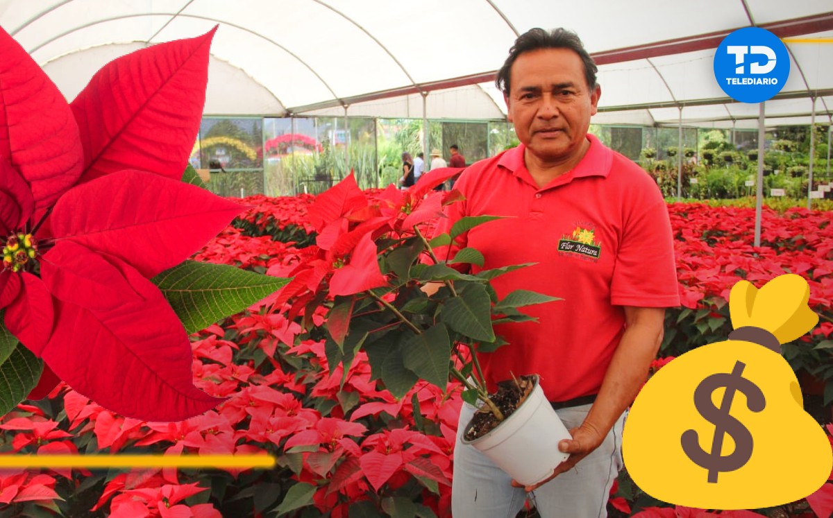 Ajustan precios de Nochebuena