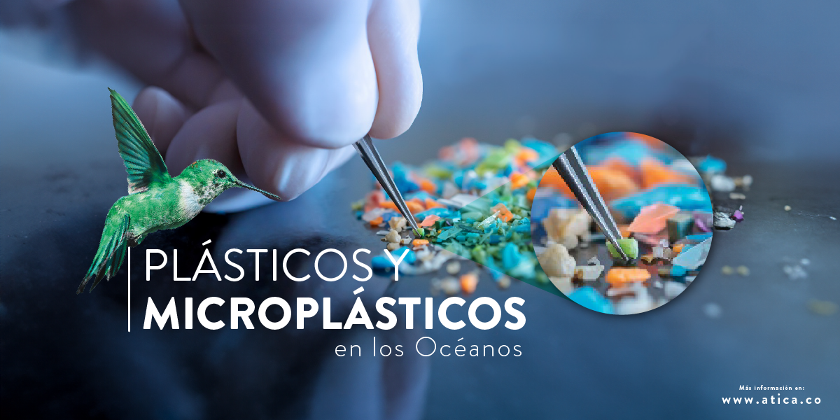 Microplásticos y metales pesados amenazan la pesca en Chiapas