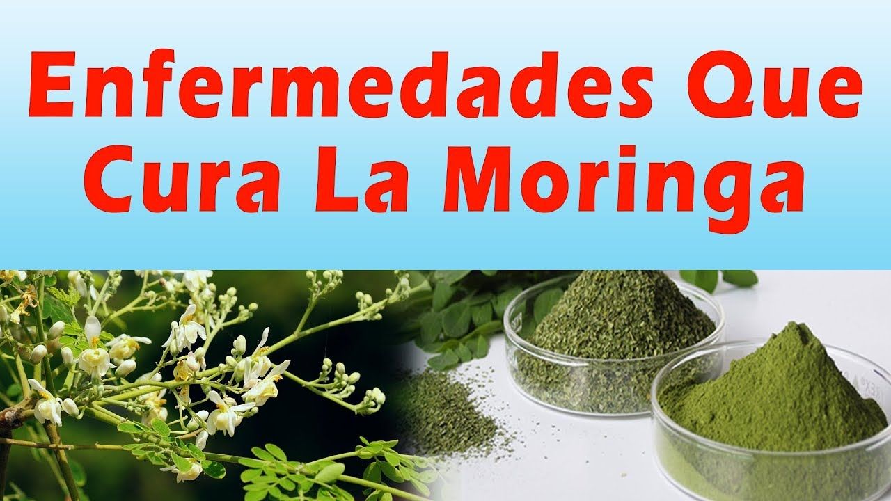 Moringa: ¡La panacea para más de 300 enfermedades!