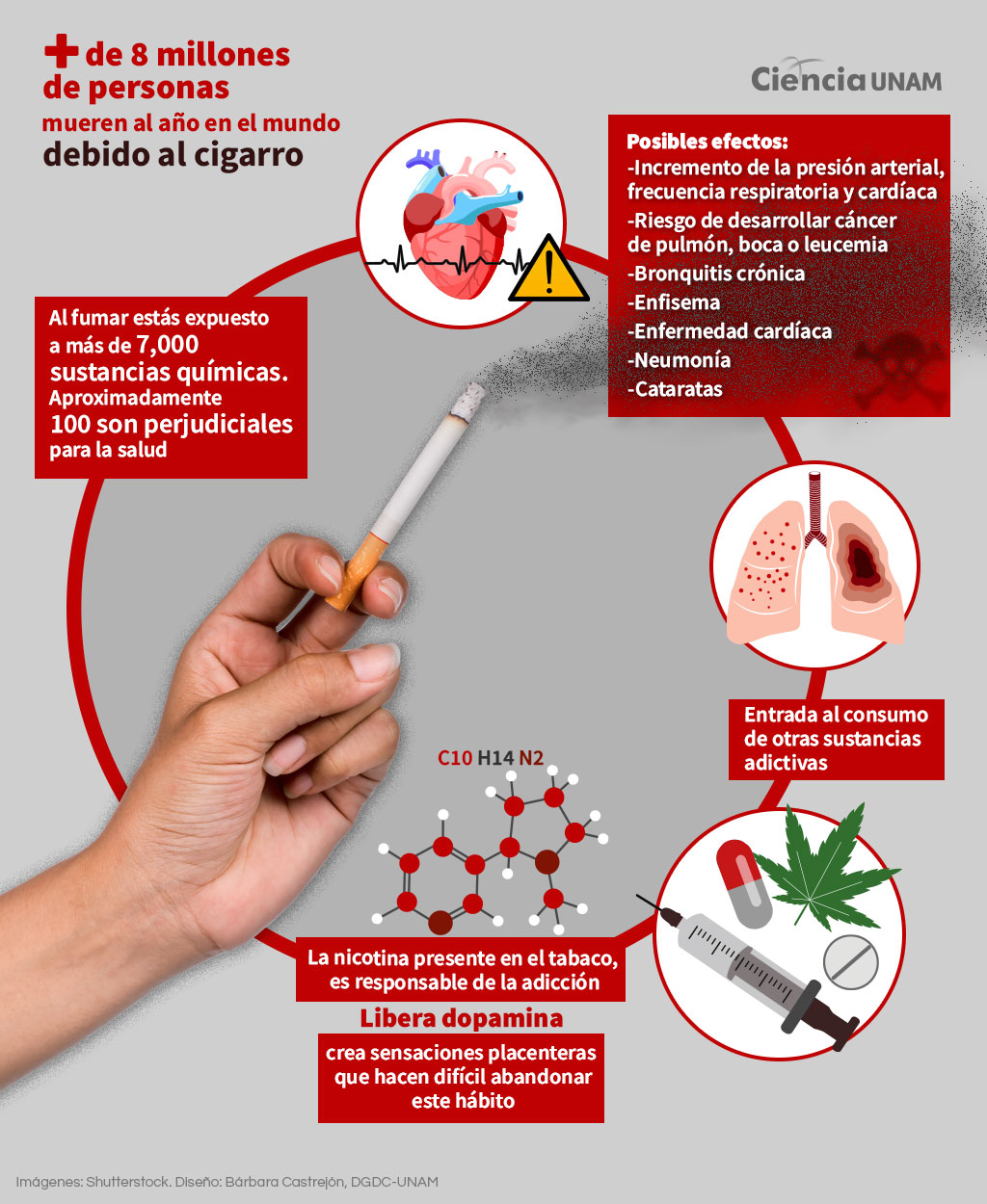 Altos costos no logran la disminución en el consumo de tabaco