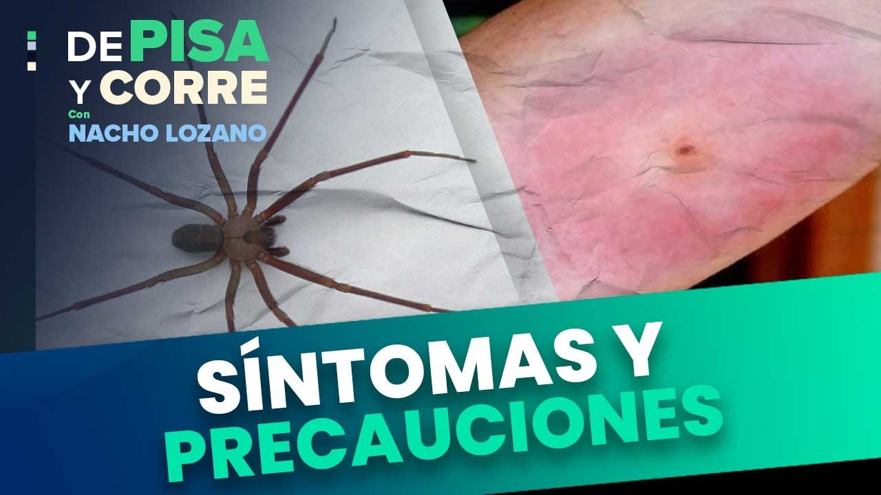 Picadura de araña deja a hombre en situación crítica