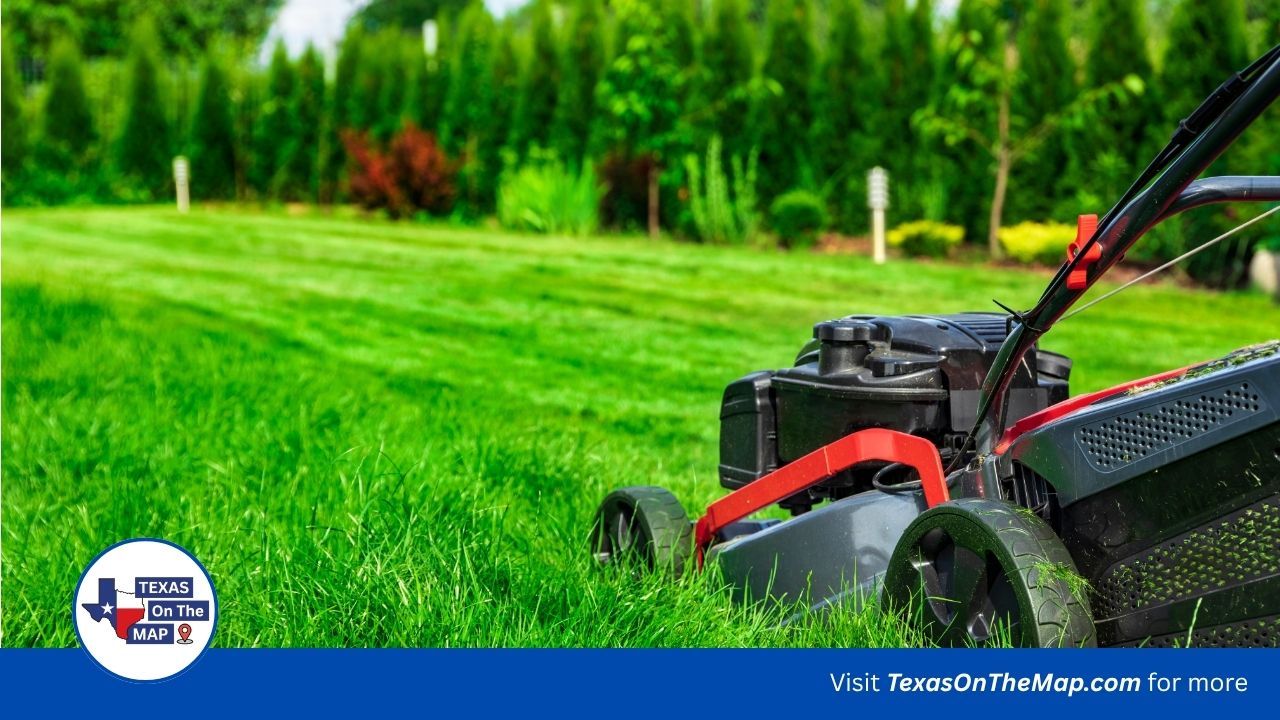 Lawn & Outdoor Services in San Antonio TX