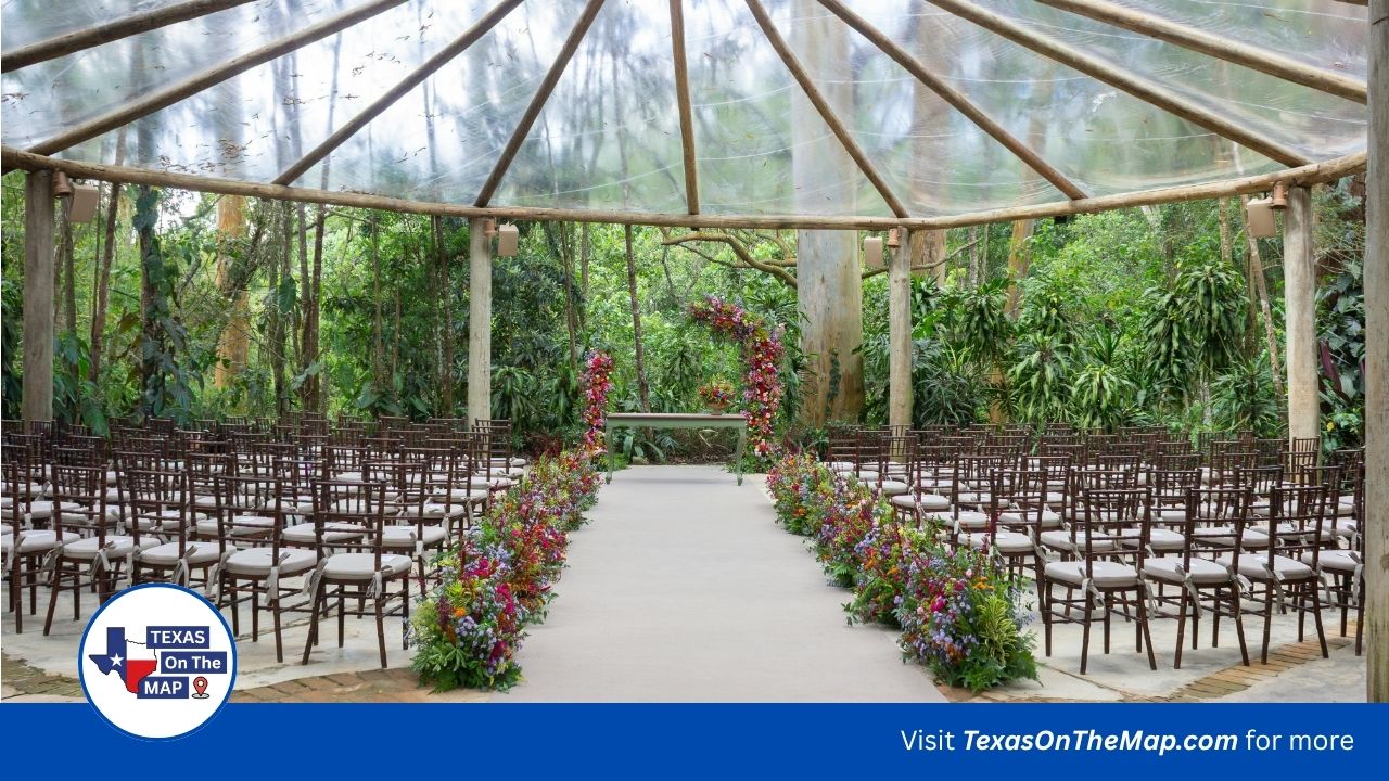 Events & Venues in San Antonio TX