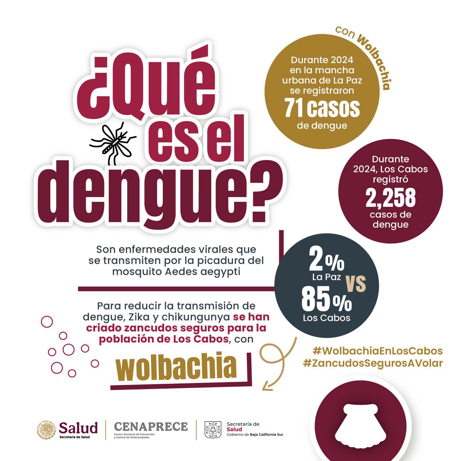 Chiapas combatirá el dengue con laboratorio de Wolbachia