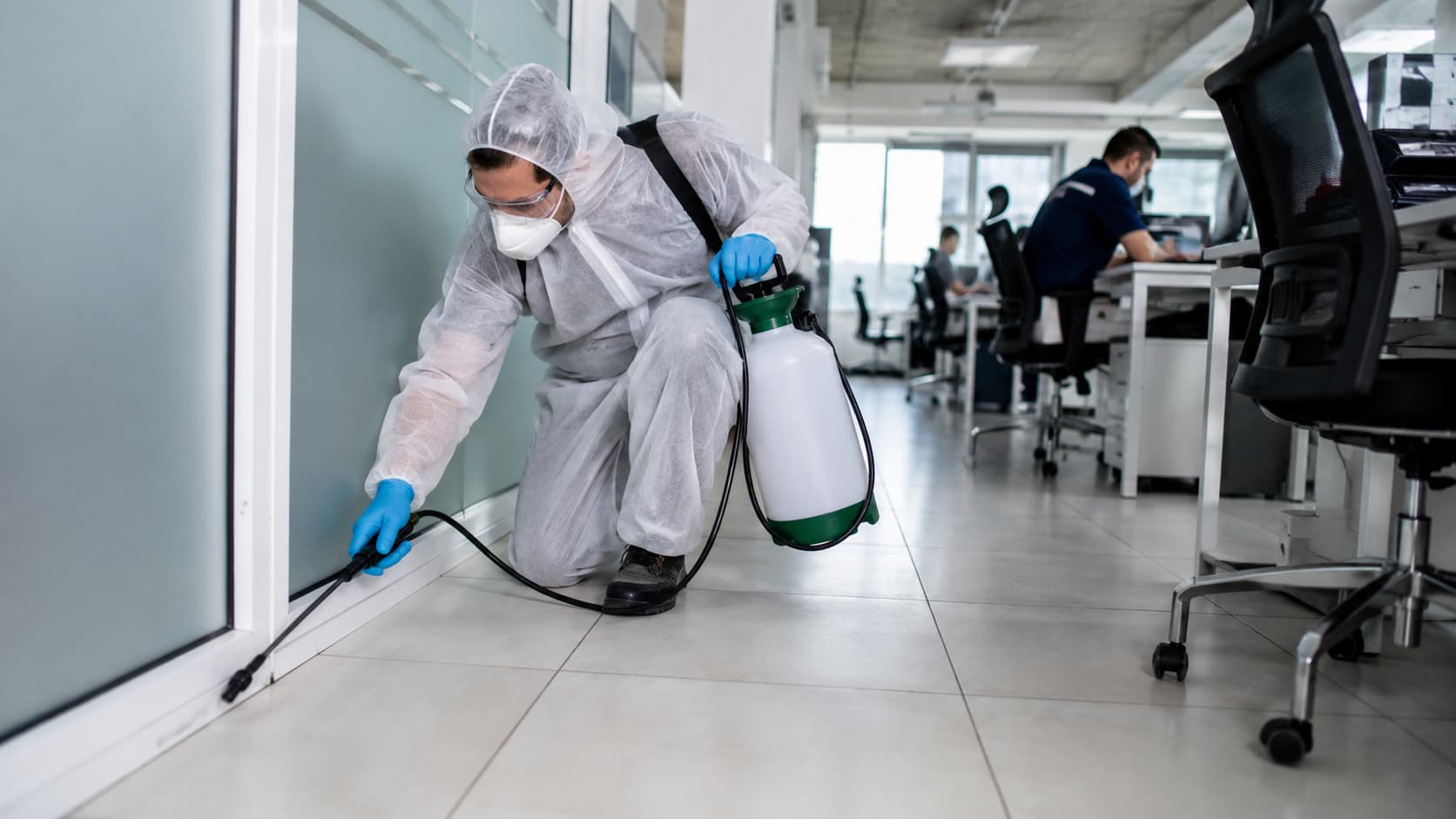 8 Best Emergency Pest Control Services in Provo, Utah (2026)