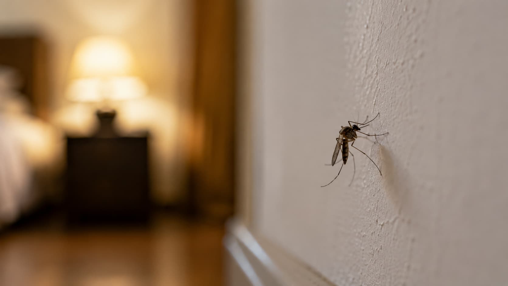 10 Best Mosquito Control Services in St. George, Utah (2026)