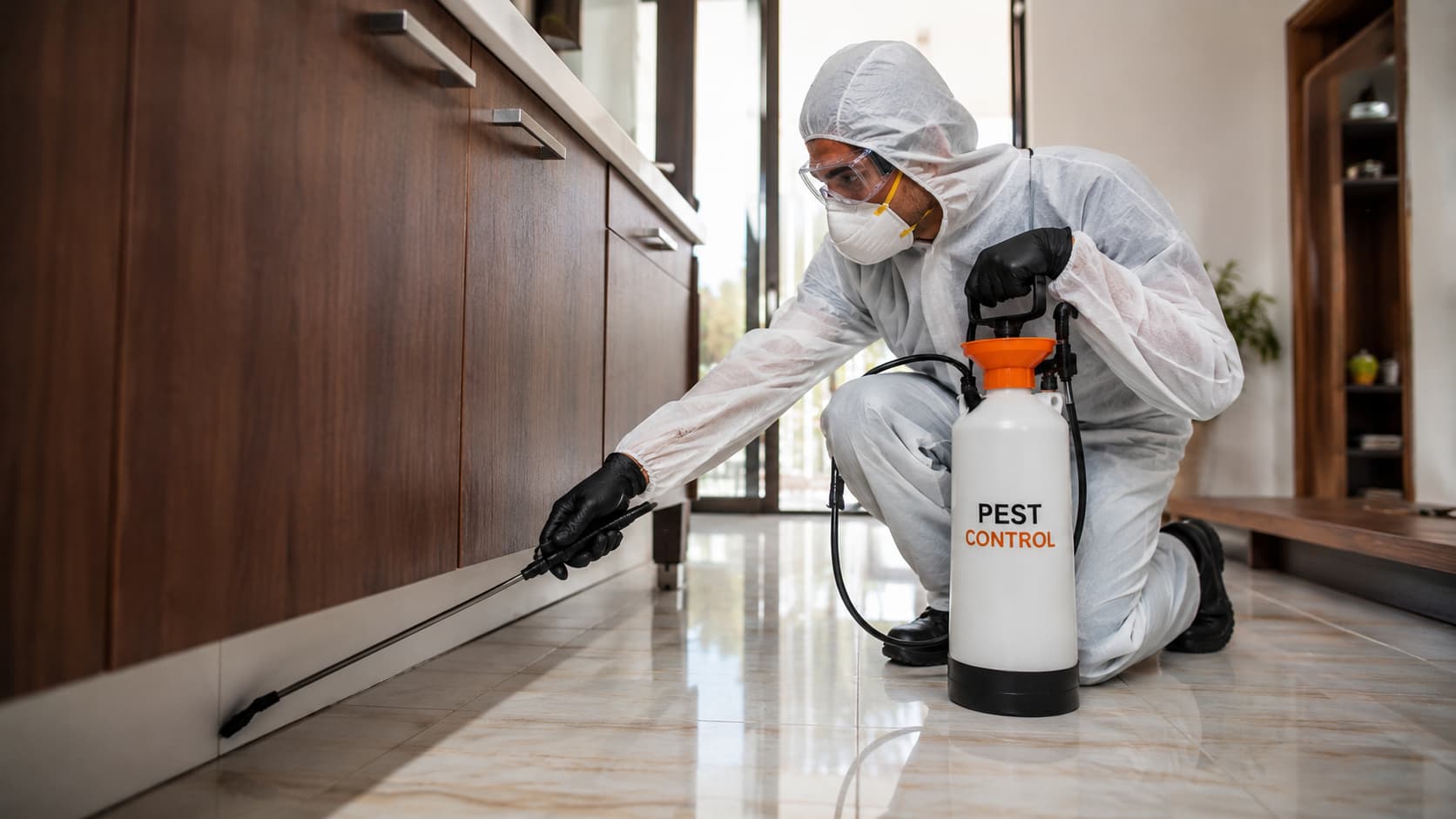 8 Best Emergency Pest Control Services in Ogden, Utah (2026)