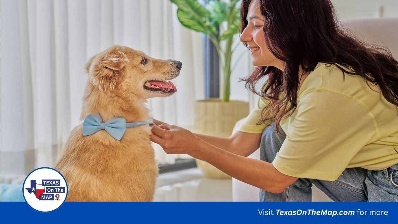 Best pet insurance Austin TX