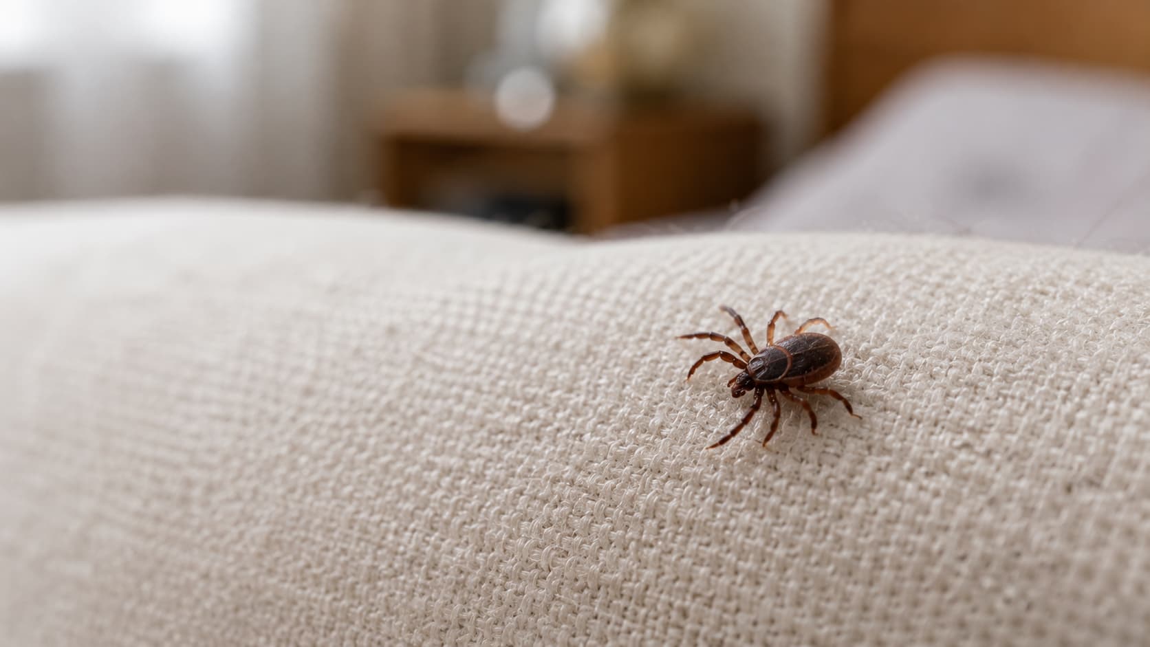 8 Best Tick Control Services in Lehi, Utah (2026)