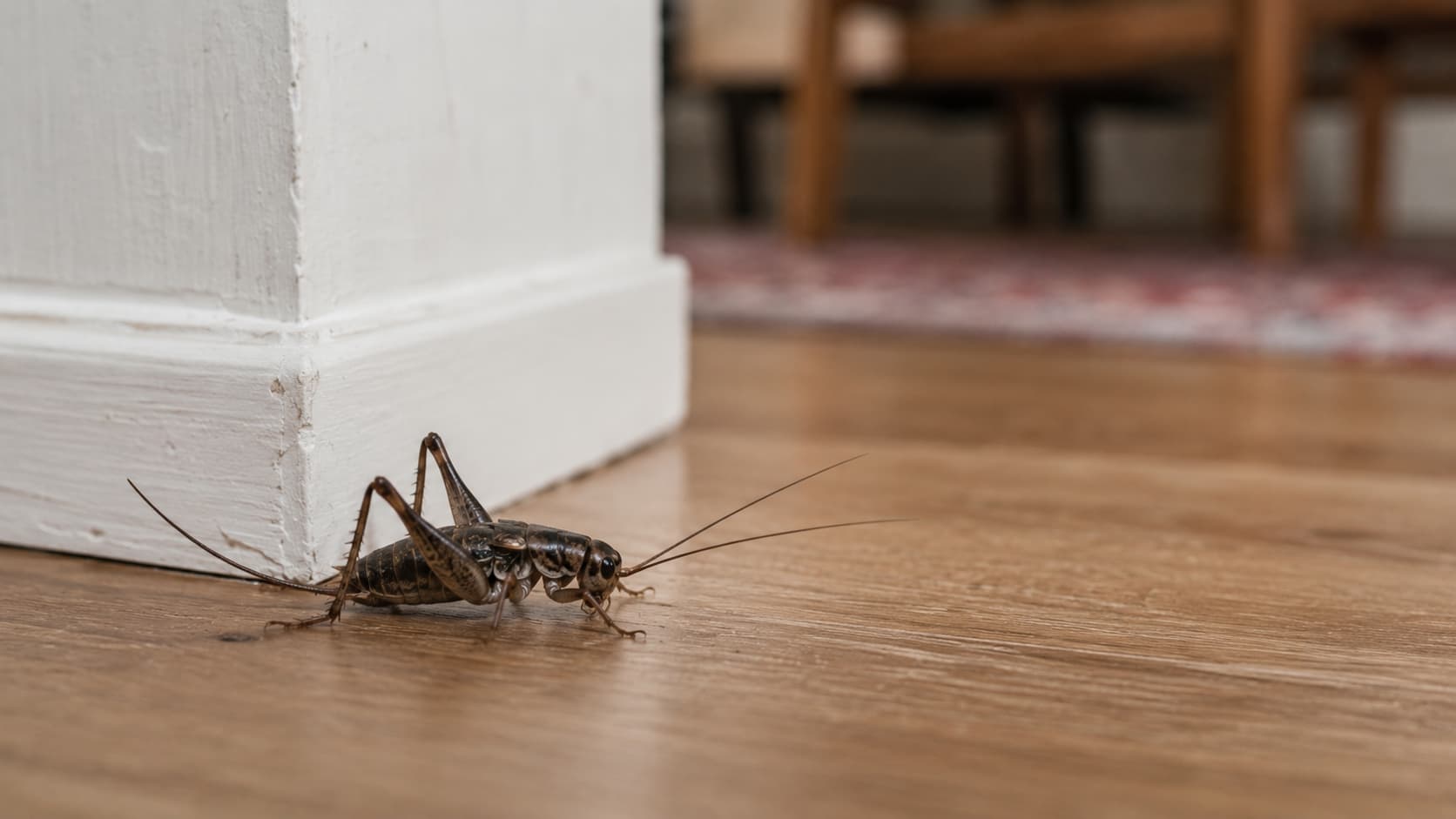 10 Best Insect Control Services in Sandy, Utah (2026)