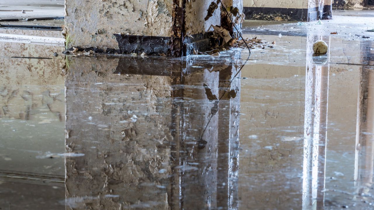Commercial flood damage repair company in Austin TX
